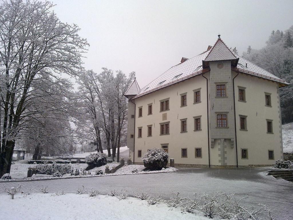 Lambergh Chateau & Hotel Dvorska Vas Eksteriør billede