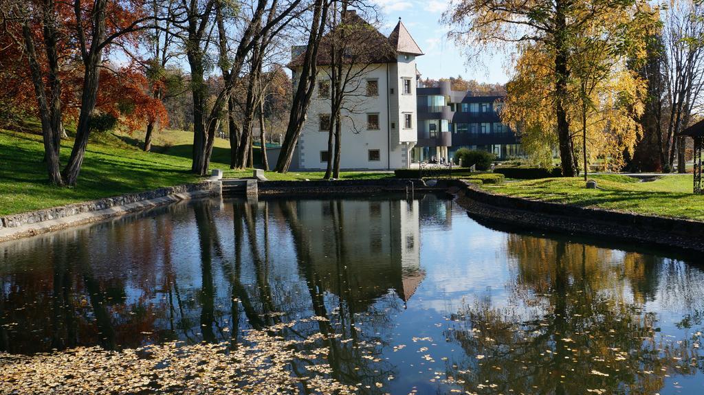 Lambergh Chateau & Hotel Dvorska Vas Eksteriør billede